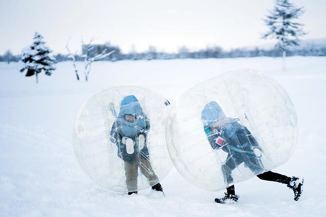 Bibai Snow Land Experience With Lunch and a Snowmobile Activity - Sunset and Night Snowmobile Touring