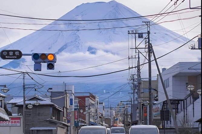 Customizable Private Tour in Mt Fuji From Tokyo by Car or Van - Contact and Booking Information