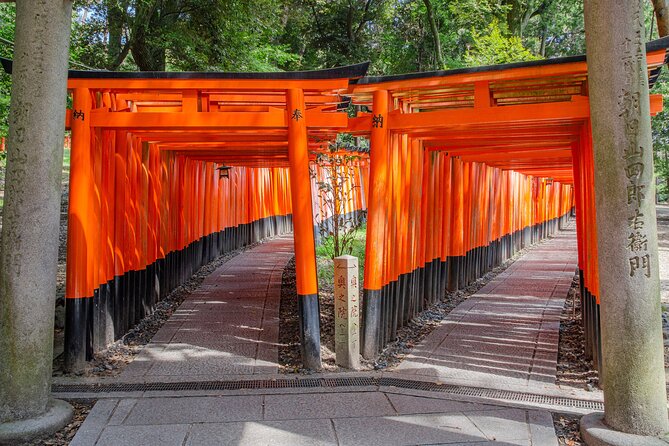 From Osaka: Kyoto Must-see Spots & Nara Park Sightseeing Day Tour - Discovering the Charms of Nara Park