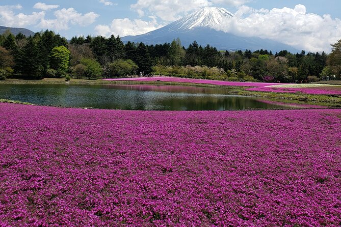 From Tokyo-Mt Fuji PVT 1 Day Customized Tour With English Driver - Tips for a Successful Experience