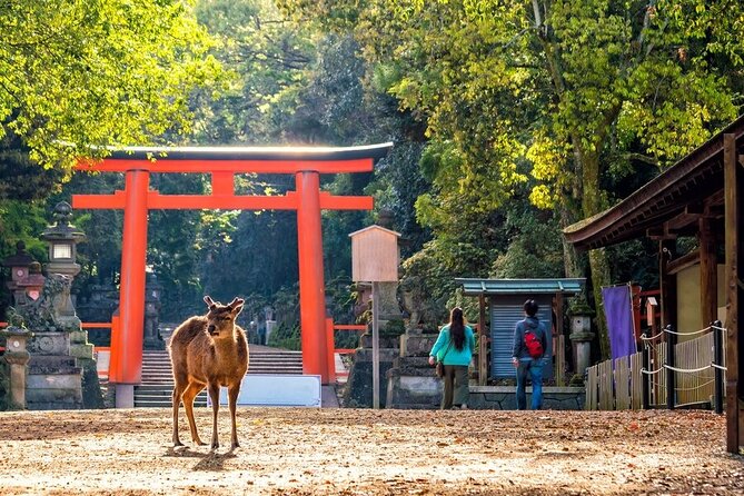From Tokyo to Kyoto and Nara: A Captivating Full-Day Private Tour - Seamless Transportation and Logistics