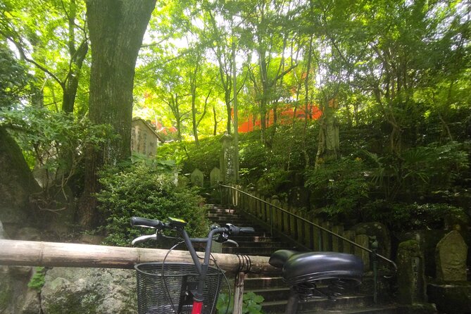 Hiroshima Scenic Cycling Guided Tour - Safety and COVID-19 Precautions
