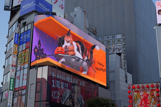 Shibuya, Harajuku and Shinjuku Private Tour With Local Guide - Experiencing the Vibrant Shinjuku