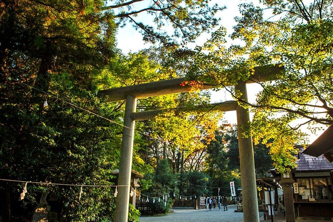 Shrine & Scenic Tour: Kamishikimi, Amano Iwato, Takachiho Gorge - Takachiho Gorge