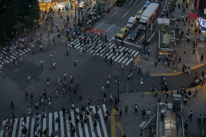 Tokyos Private Tour : From Ancient Temples to Modern Tokyo - Experience Tokyos Diverse Landscapes