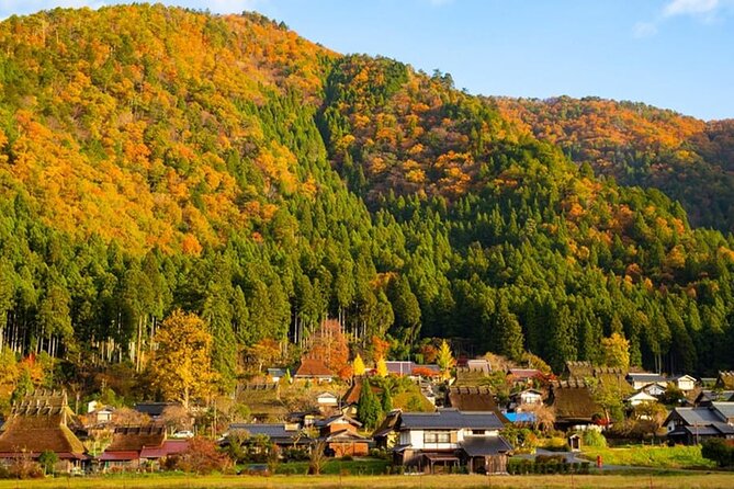 Amanohashidate, Ine Funaya & Miyam Village 1-Day Tour From Osaka - Good To Know