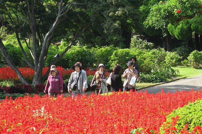 Colors of Japan, Fukuoka Nokonoshima Island Park & Wagyu BBQ - Good To Know