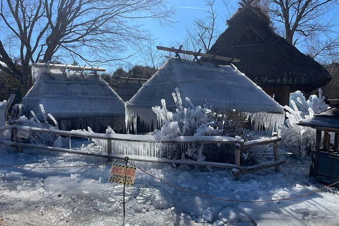 Customisable Mt.Fuji Private Day Trip, English Speaking Driver - Good To Know