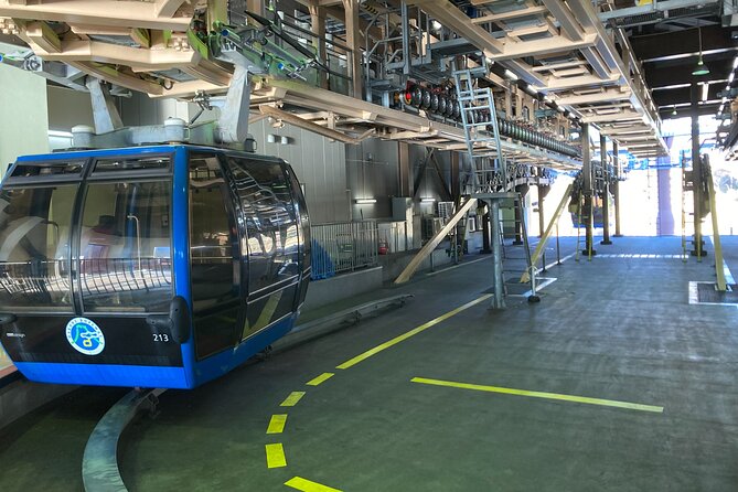 Customizable Hakone-Mt.Fuji Private Day Trip, Eng Speaking Driver - Good To Know