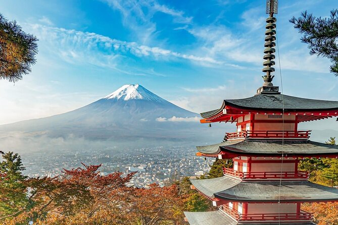 Customizable Private Tour in Mt Fuji From Tokyo by Car or Van - Good To Know