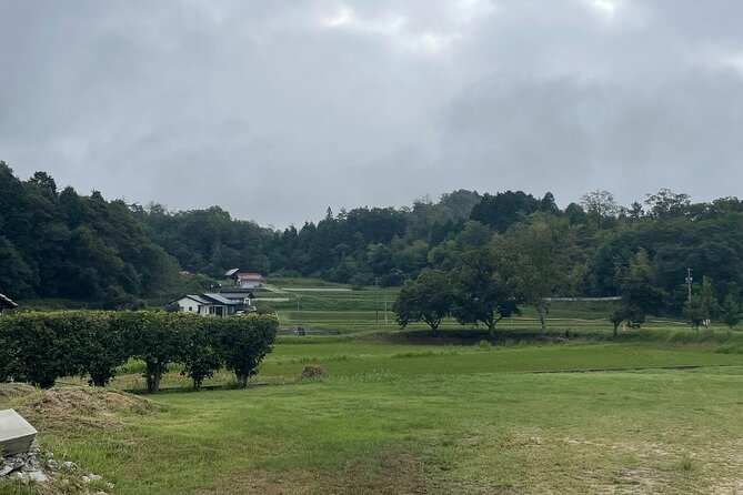 Discover and Traditions of Hiroshima's Mountain Cuisine & Cooking - Good To Know