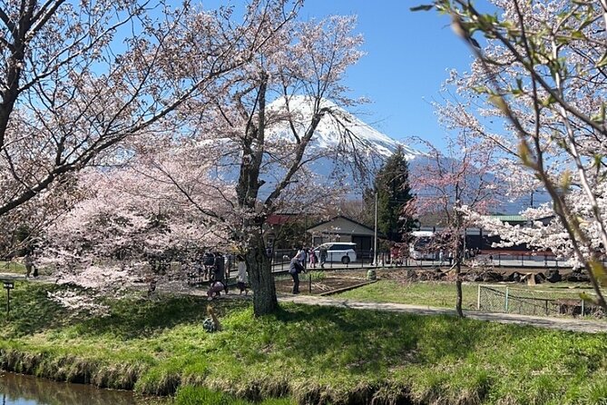 English-speaking Guided Tour:Mount Fuji & Hakone, Private Vehicle - Good To Know