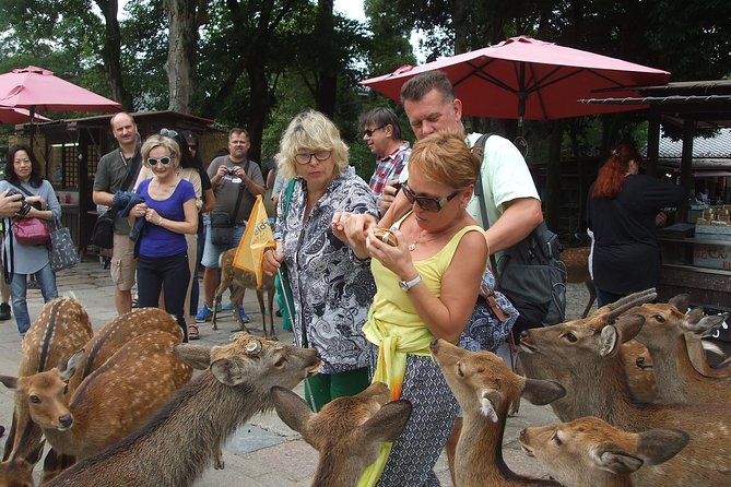 Exploring Nara - Good To Know