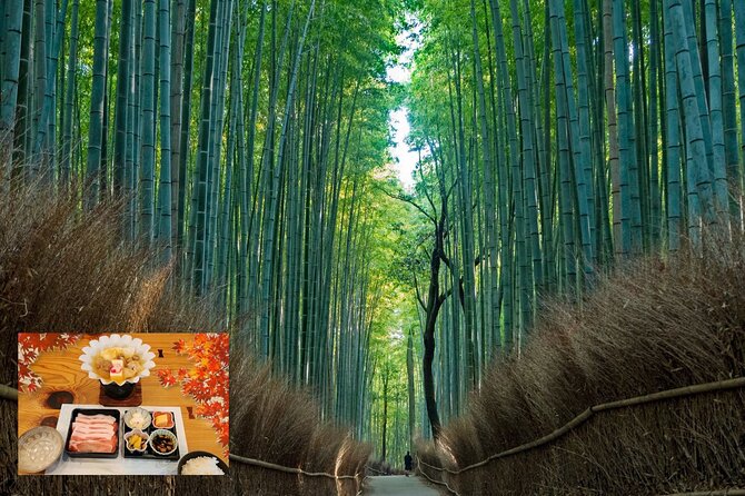 From Osaka/Kyoto: Kyoto & Nara Day Trip With Lunch - Good To Know