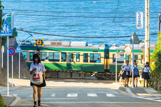 From Tokyo Kamakura, Hachimangu Shrine and Enoshima Full Day Tour - Good To Know