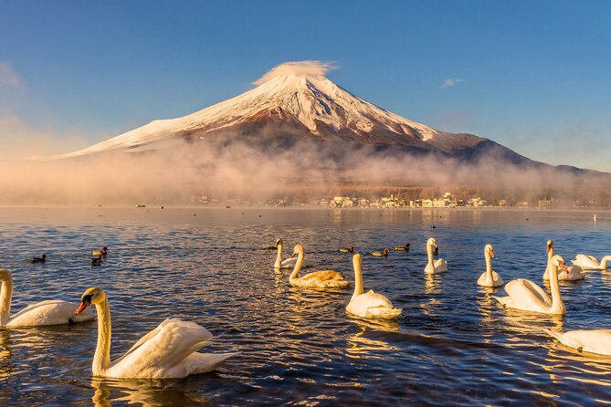 From Tokyo: Mount Fuji Highlights Tour With Kawaguchi Lake Cruise - Good To Know