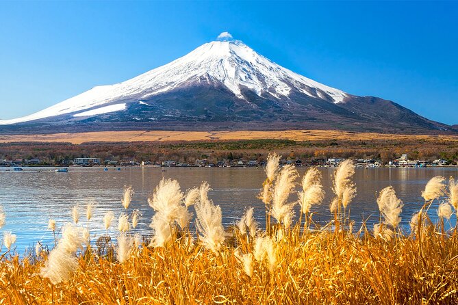 Full Day Tour at Mt. Fuji, Onsen, Lake Kawaguchi and Yamanaka - Good To Know