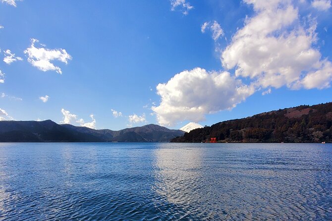 Guided 2 Days Tour Tokyo ,Mt Fuji and Hakone GREEN NUMBER PLATES - Good To Know