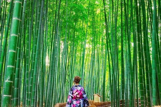 Guided Kyoto City Cherry Blossom One Day Private Tour - Good To Know