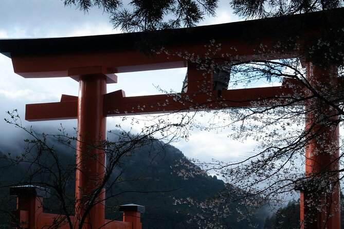 Hakone Lake Ashi Cruise Hot Bath Private Sightseeing Trip - Good To Know