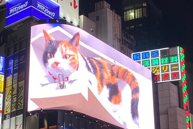 KABUKICHO DEEP TOUR + DINNER & BAR HOP W/Local Certified Guide - Good To Know