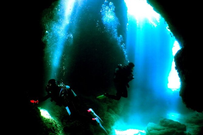 Kerama Islands Experience Dive/Snorkeling/Whale Watching Service - Good To Know
