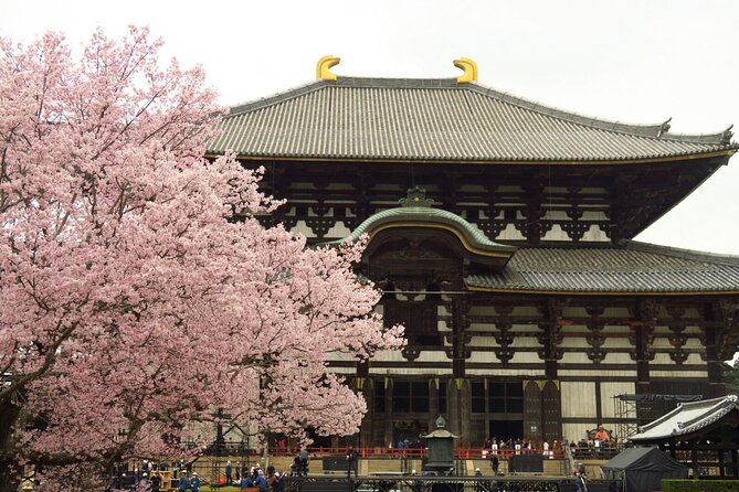 Kyoto and Nara Deer Sightseeing Day Trip From Osaka - Good To Know