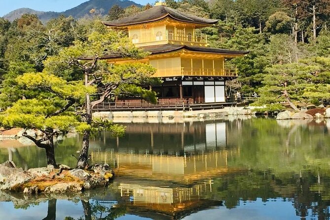 KYOTO and NARA Private Guided Tour With FREE ENTRANCE FEE - Good To Know
