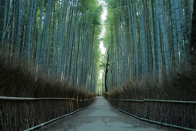 Kyoto Arashiyama Bamboo Forest Hidden Hiking Tour - Good To Know