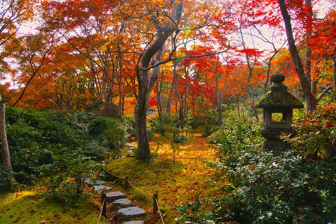 Kyoto Arashiyama: Fall Foliage Walking Tour【Autumns Limited】
