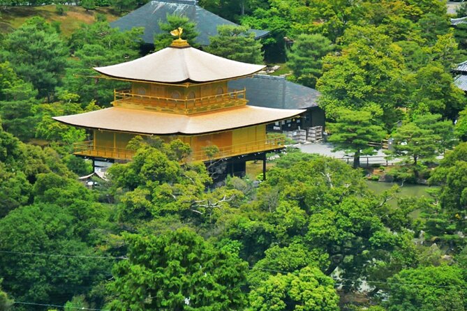 Kyoto ITALIAN GUIDE Golden Pagoda Bamboo Forest Dry Garden - Good To Know