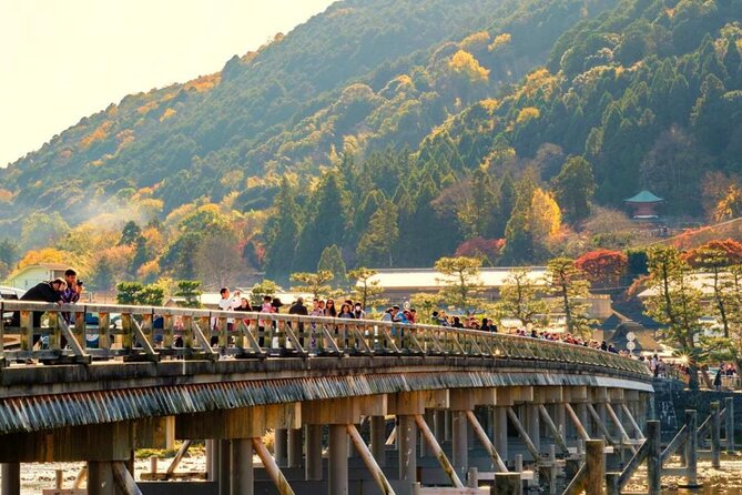 Kyoto & Nara Day Tour: Golden Pavilion, Fushimi Inari & Deer Park - Good To Know
