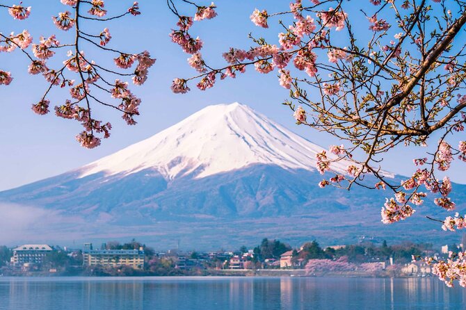 Mount Fuji 1-Day Trip: Kawaguchiko Ropeway & Matcha Culture - Good To Know