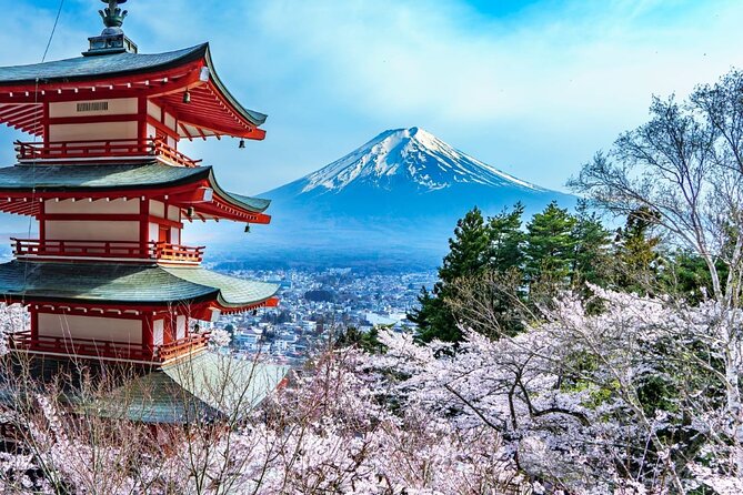 Mount Fuji and Hakone Day Trip With English Professional Guide - Good To Know