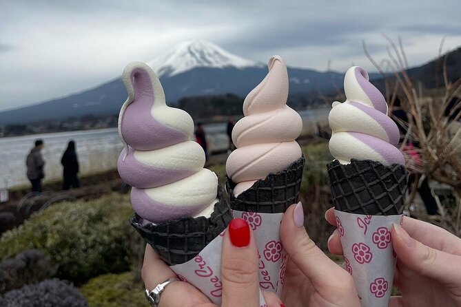 Mount Fuji & Hakone Private Customized Sightseeing English Trip - Good To Know