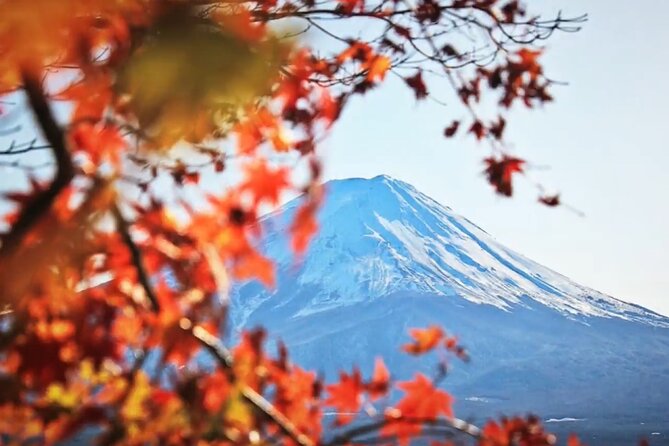 Mount Fuji Private Tour - Good To Know