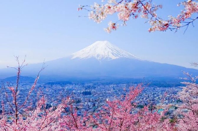 Mount Fuji Sightseeing Day Tour With English-Speaking Driver - Good To Know