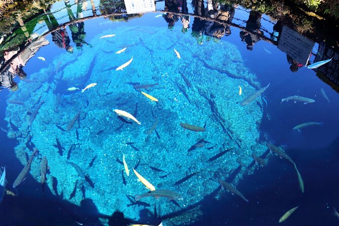 Mt. Fuji 5th, Oshino Hakkai, Onsen Full-Day Trip From Tokyo - Good To Know