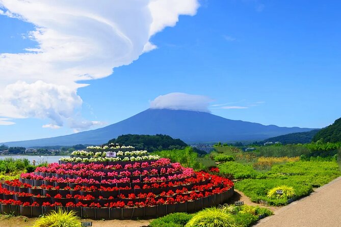 Mt Fuji Exploration Tour With Free Japanese Kusa Mochi From Tokyo - Good To Know