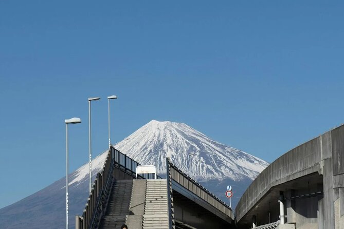 Mt Fuji, Hakone Private Tour by Car Pickup From Tokyo - Good To Know