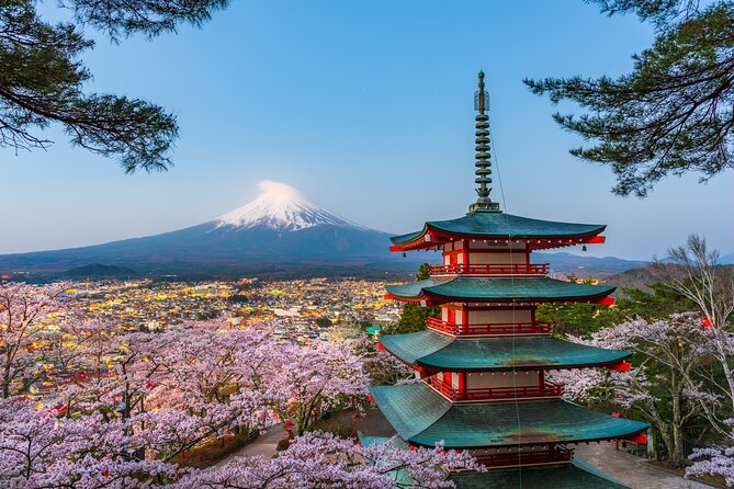 Mt. Fuji or Hakone Private Sightseeing Day Trip From Tokyo - Good To Know