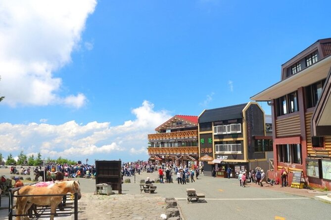 Mt Fuji, Panoramic Ropeway & Seasonal Fruits Picking - Good To Know