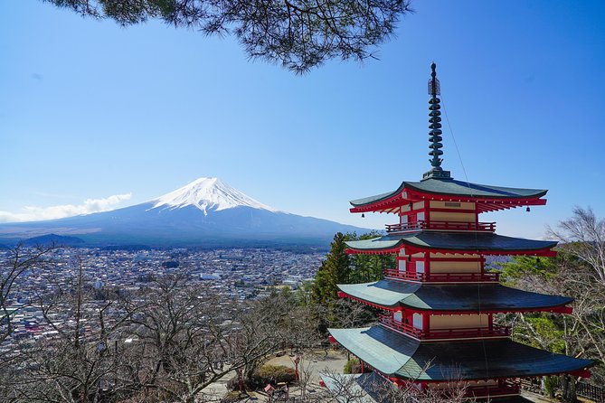 Mt. Fuji Private Chartered Tour With Nature & Wasabi Farm - Good To Know