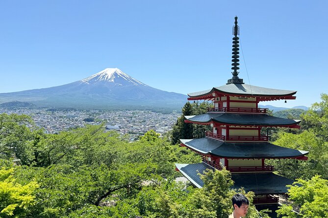 Mt Fuji Private Sightseeing Tour From Tokyo - Good To Know