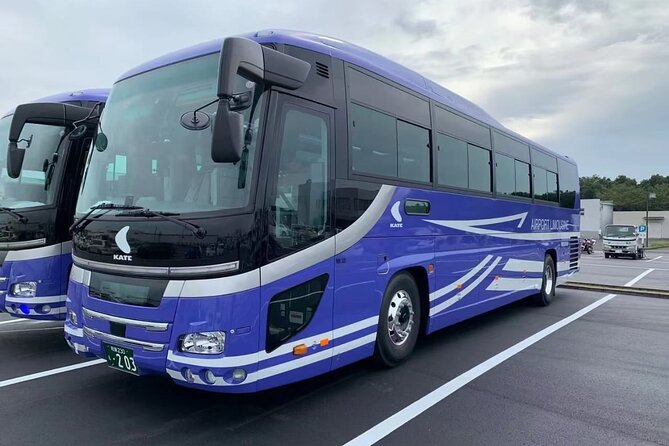 Nagoya Airport to Downtown Nagoya 50 Km Private Transfer - Good To Know