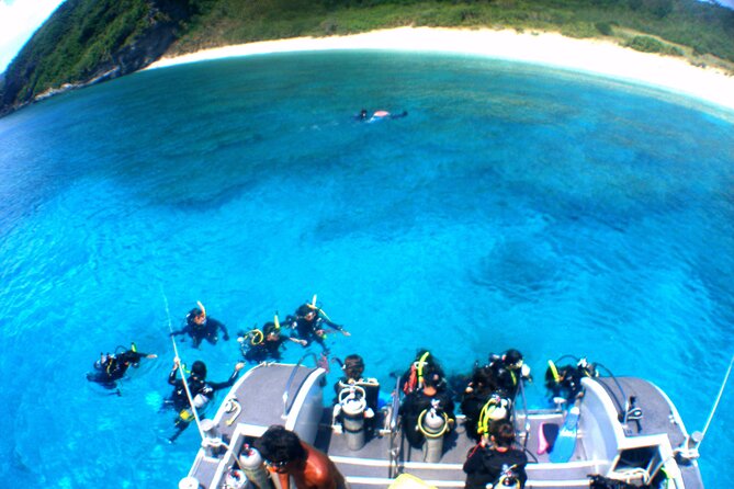 Naha: Kerama Islands Snorkeling Tour/Limited Time Whale Watching - Good To Know