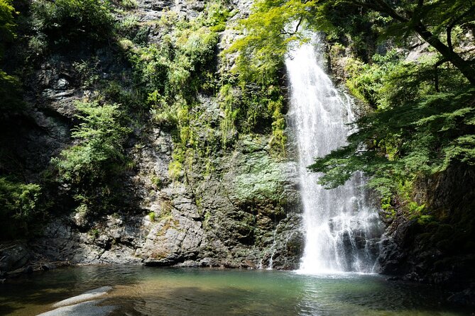 Osakas Secret Adventures: Daruma Magic and Minoh Falls - Good To Know