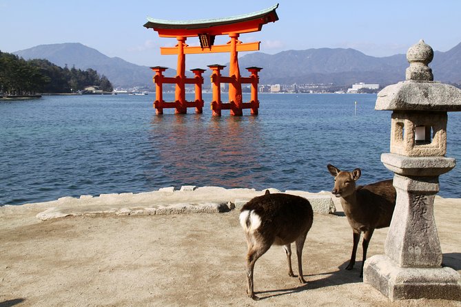 Peaceful Hiroshima & Miyajima UNESCO 1 Day Bus Tour - Good To Know