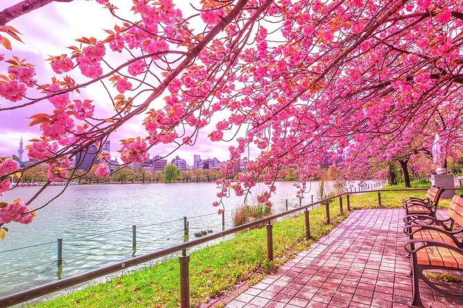 Private Audio Guided Walking Tour in Tokyo - Good To Know