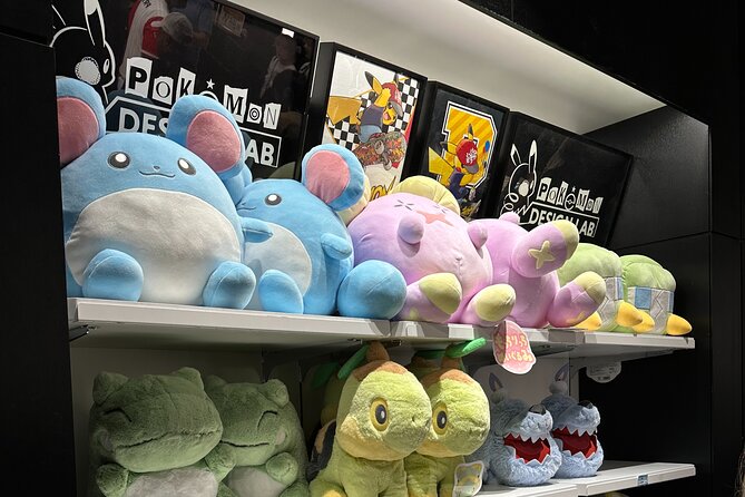 Private Car Tour for Anime Manga Game and Otaku Tour in Tokyo - Good To Know